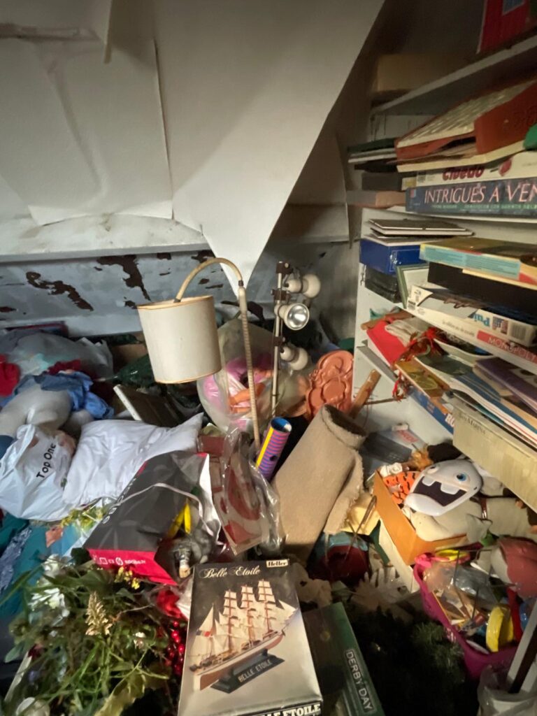 La Prolifération des Bactéries et des Virus dans les Logements Insalubres